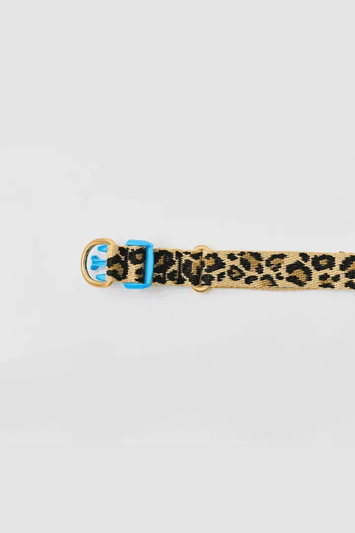 Gentle Dog Collar - Leopard
